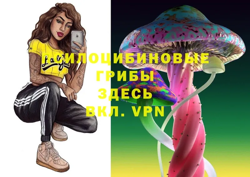 Галлюциногенные грибы Psilocybe  MEGA   Гороховец  магазин продажи  