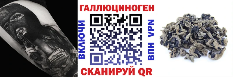 Галлюциногенные грибы Psilocybine cubensis  Гороховец 